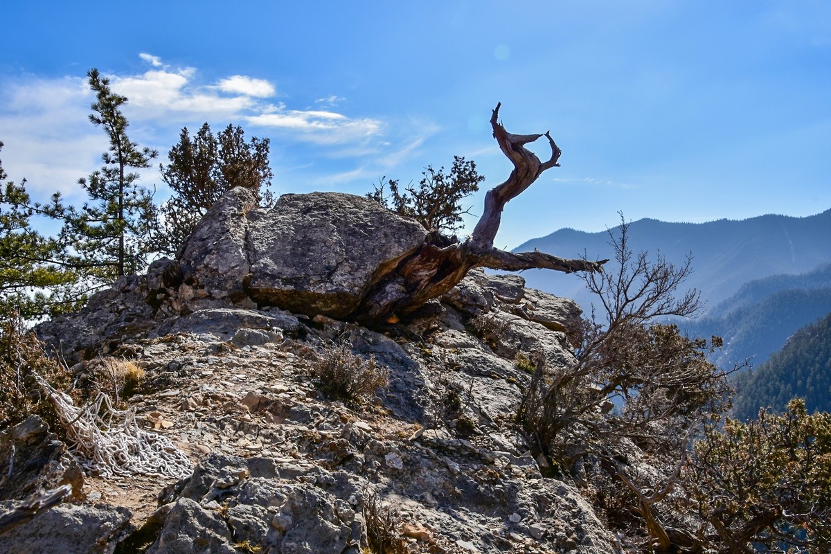 周末去爬贺兰山（上）
