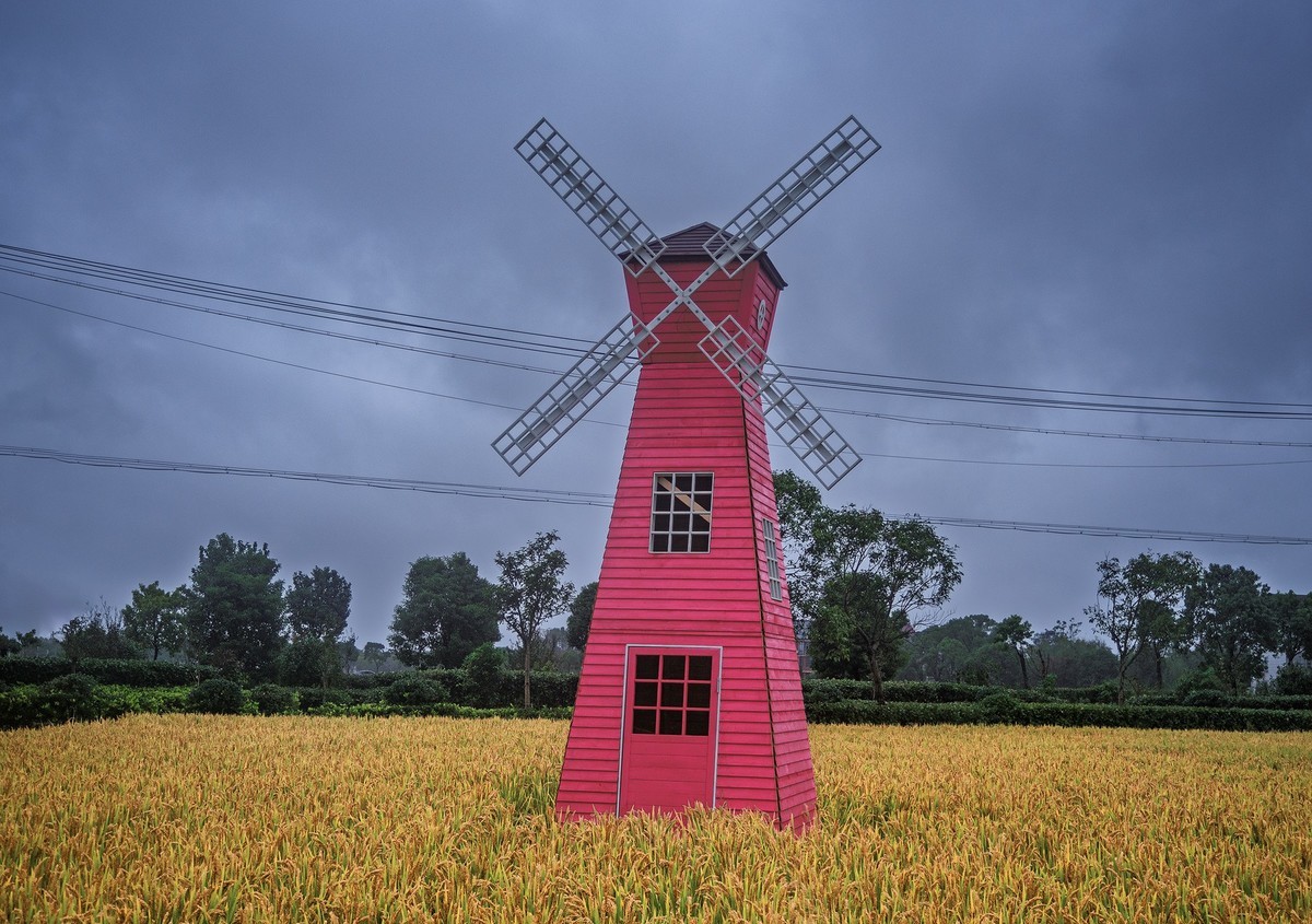 航头乡村国际音乐节