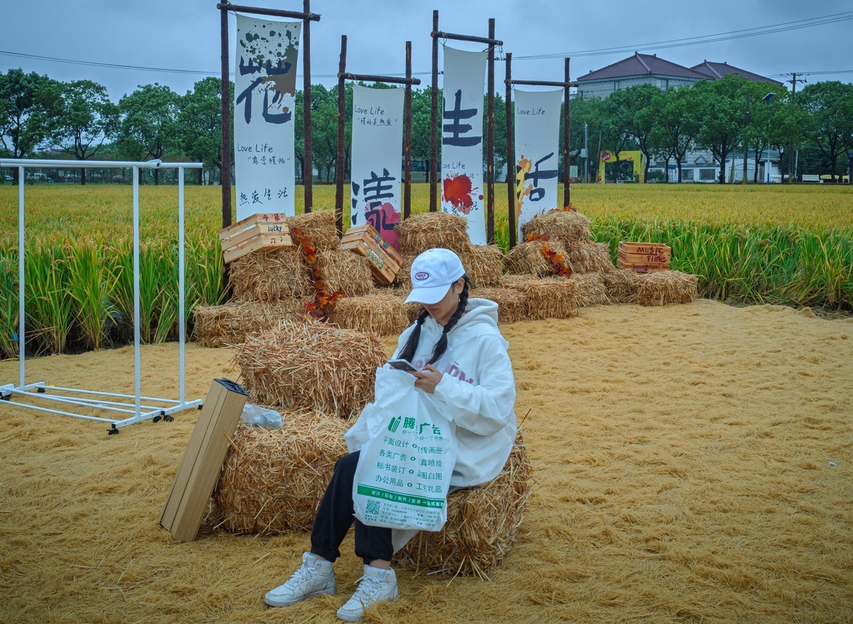航头乡村国际音乐节