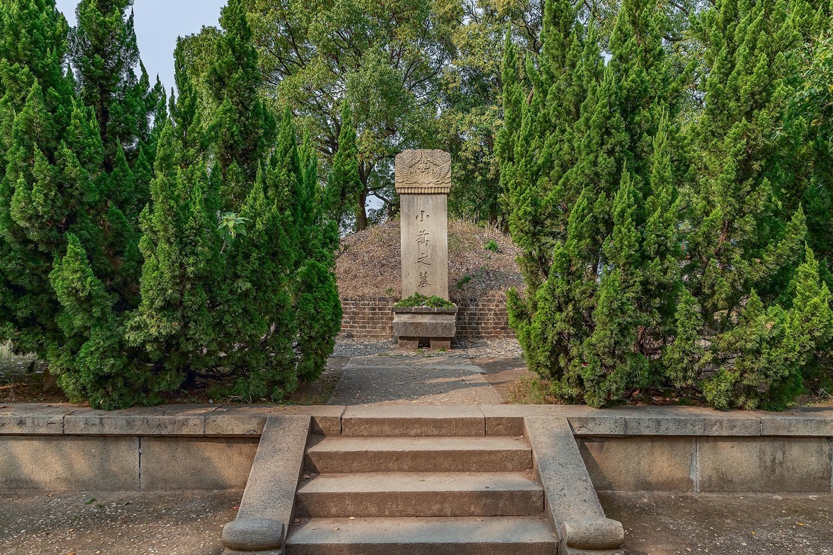 旅游记录 ：湖南 · 岳阳 · 岳阳楼