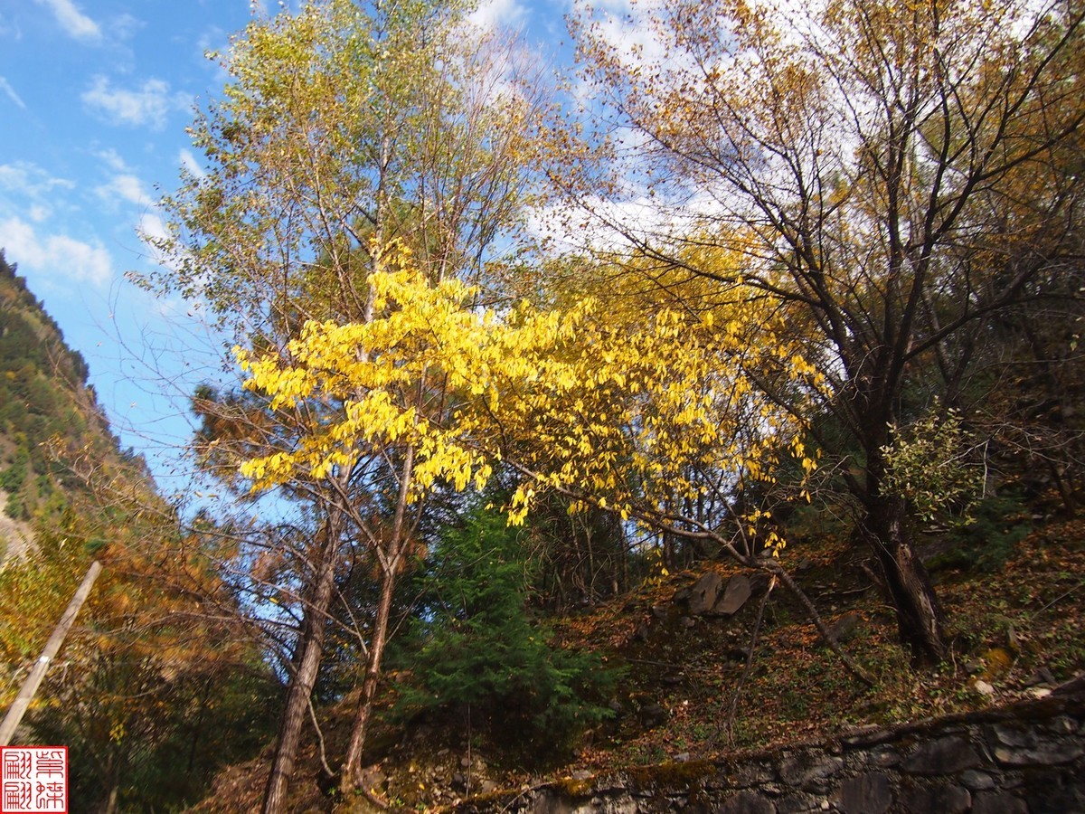 2024八丹路随拍（13）