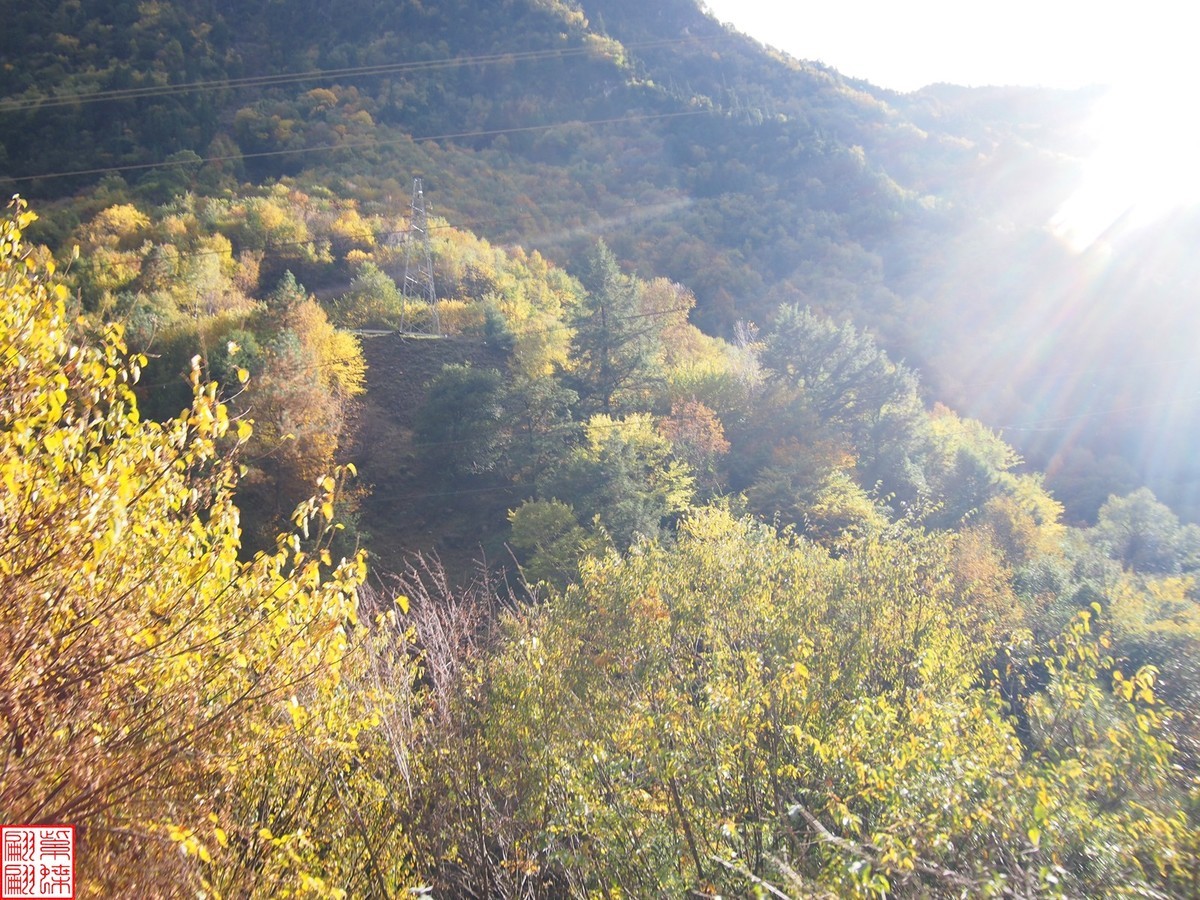 2024八丹路随拍（13）