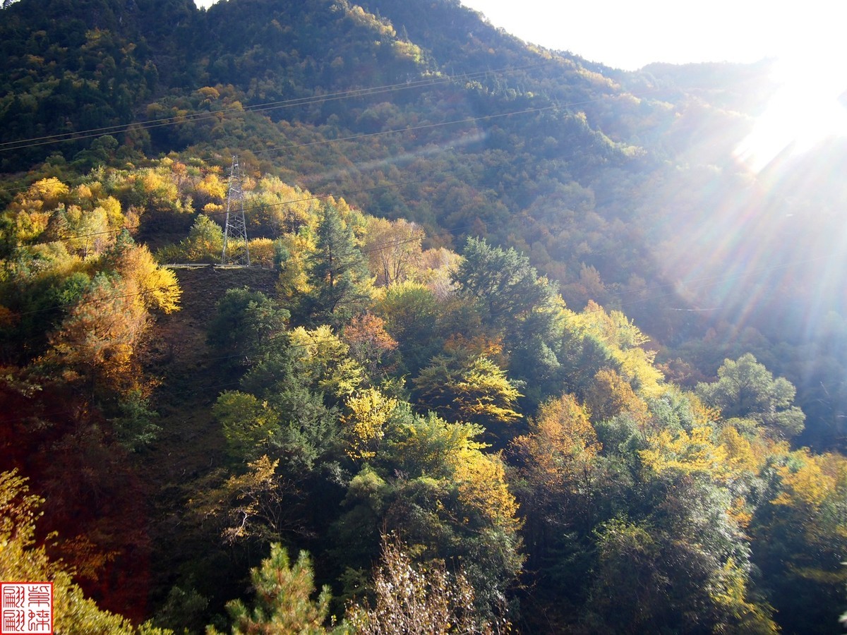 2024八丹路随拍（13）