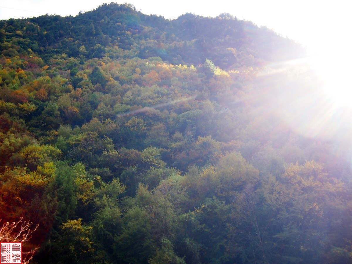 2024八丹路随拍（13）