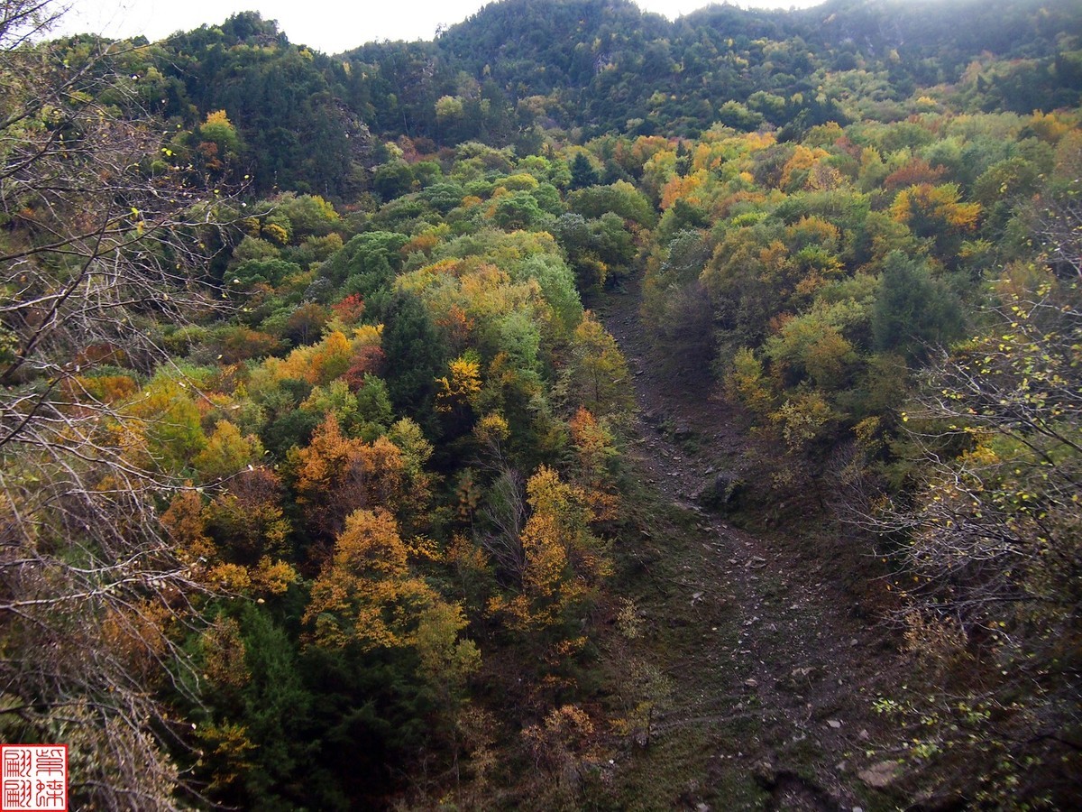 2024八丹路随拍（13）