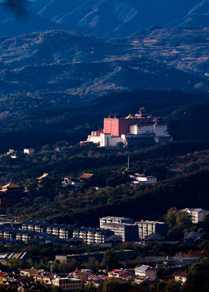 外出随拍（续334）.