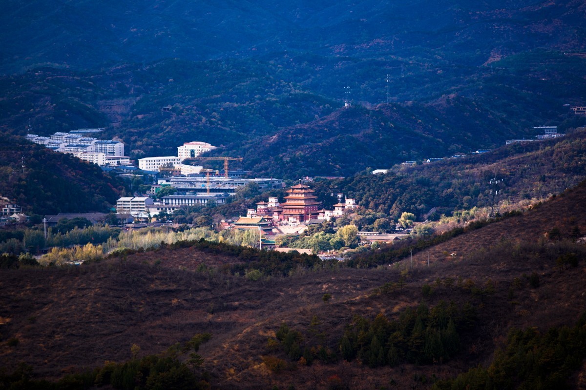 外出随拍（续334）.