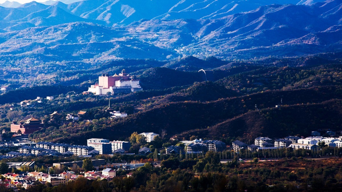 外出随拍（续334）.