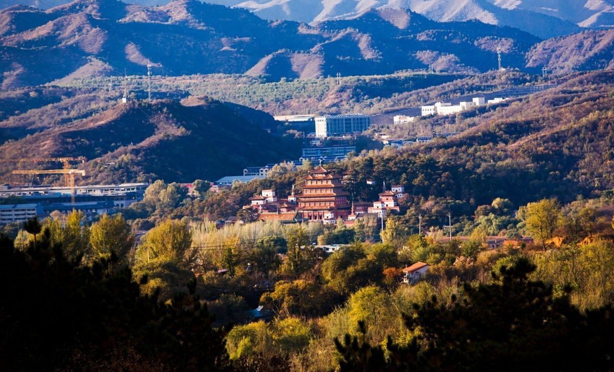 外出随拍（续334）.