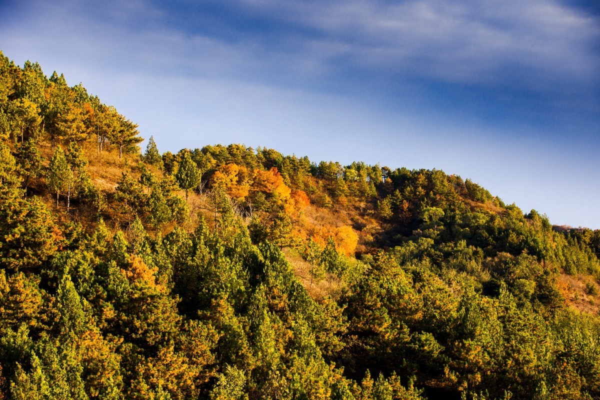 外出随拍（续335）.