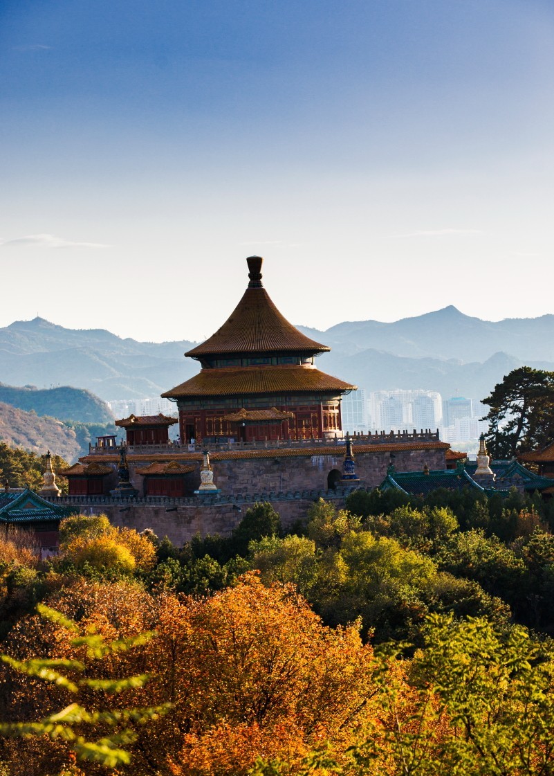 外出随拍（续335）.