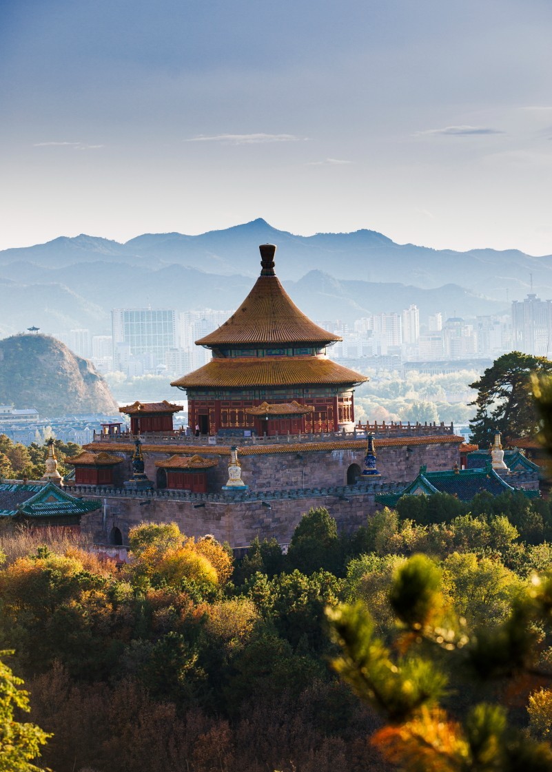 外出随拍（续335）.