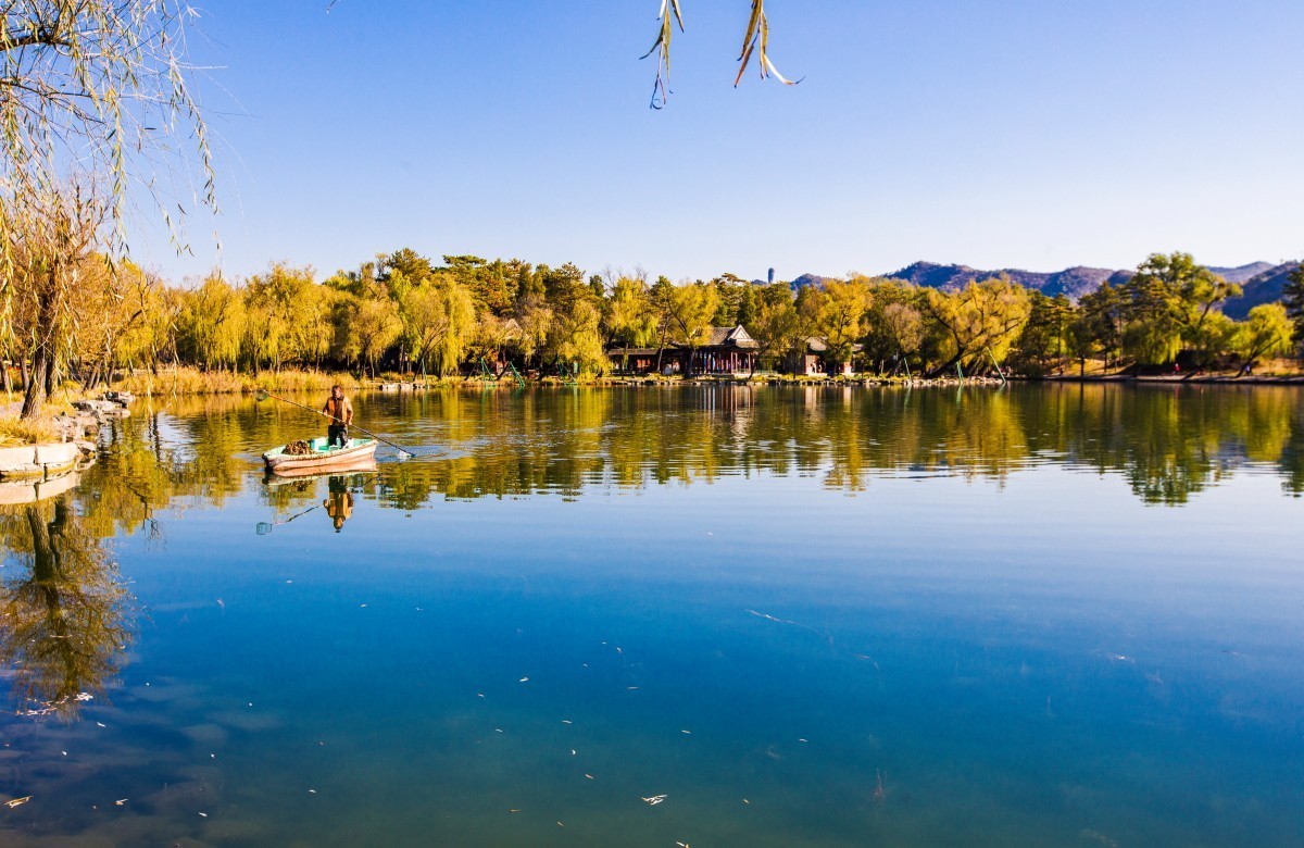 外出随拍（续336）.