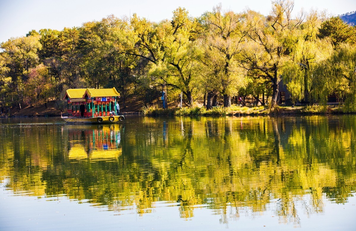 外出随拍（续336）.