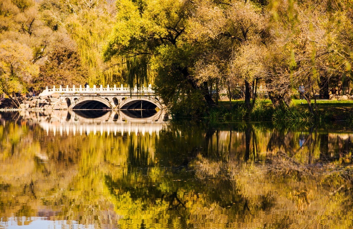 外出随拍（续336）.