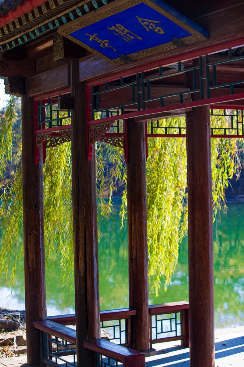 外出随拍（续336）.