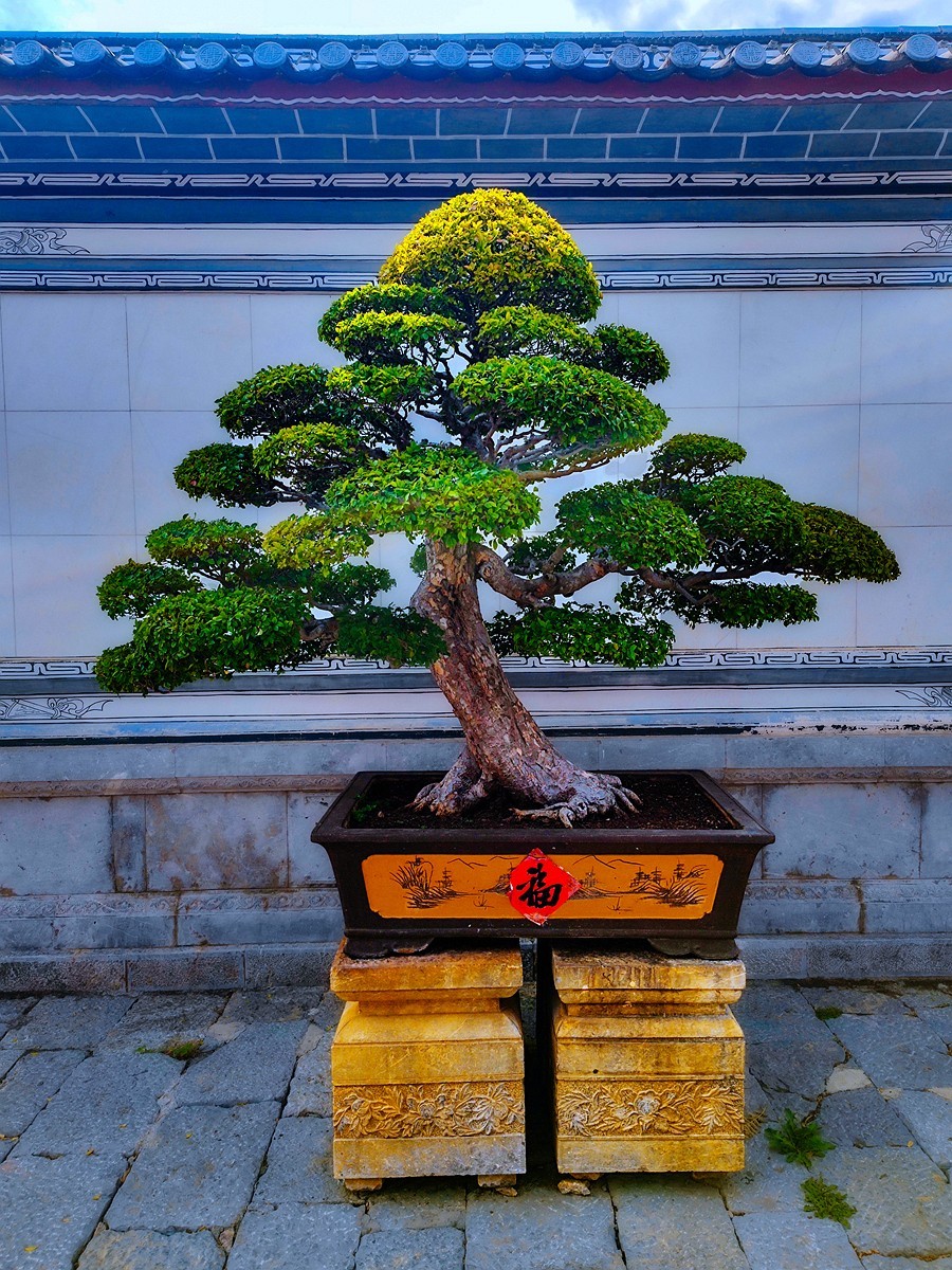 蜀滇黔渝鄂骑游随拍4——途中视角