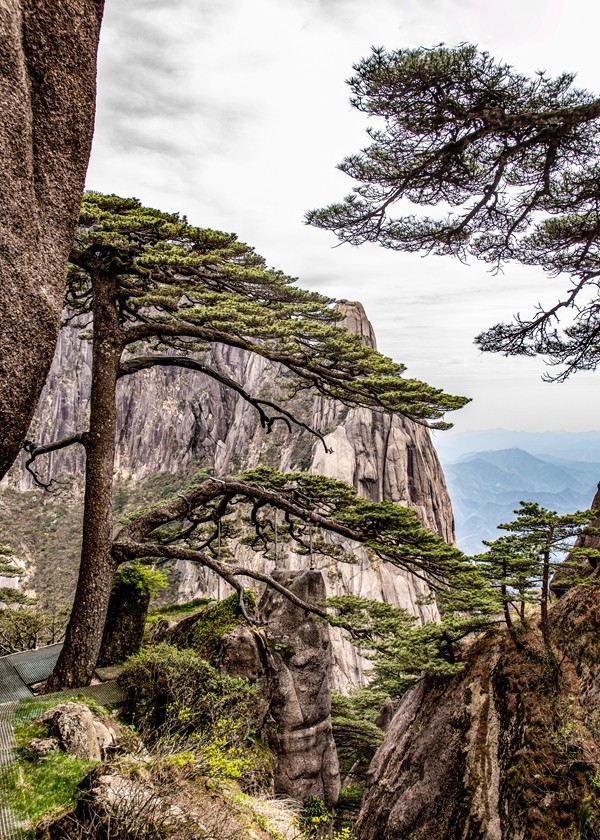 黄山--峰峦随镜入画来【14】