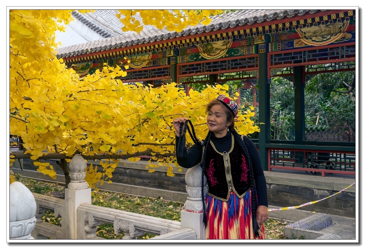 紫竹苑行宫的秋叶-续