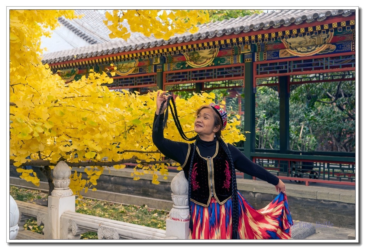 紫竹苑行宫的秋叶-续