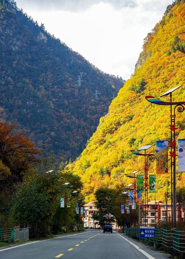 金秋川西行摄【6】