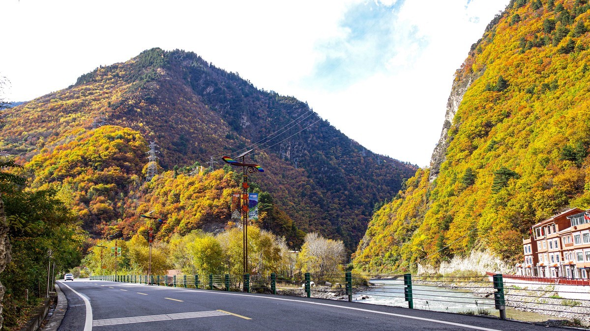 金秋川西行摄【6】