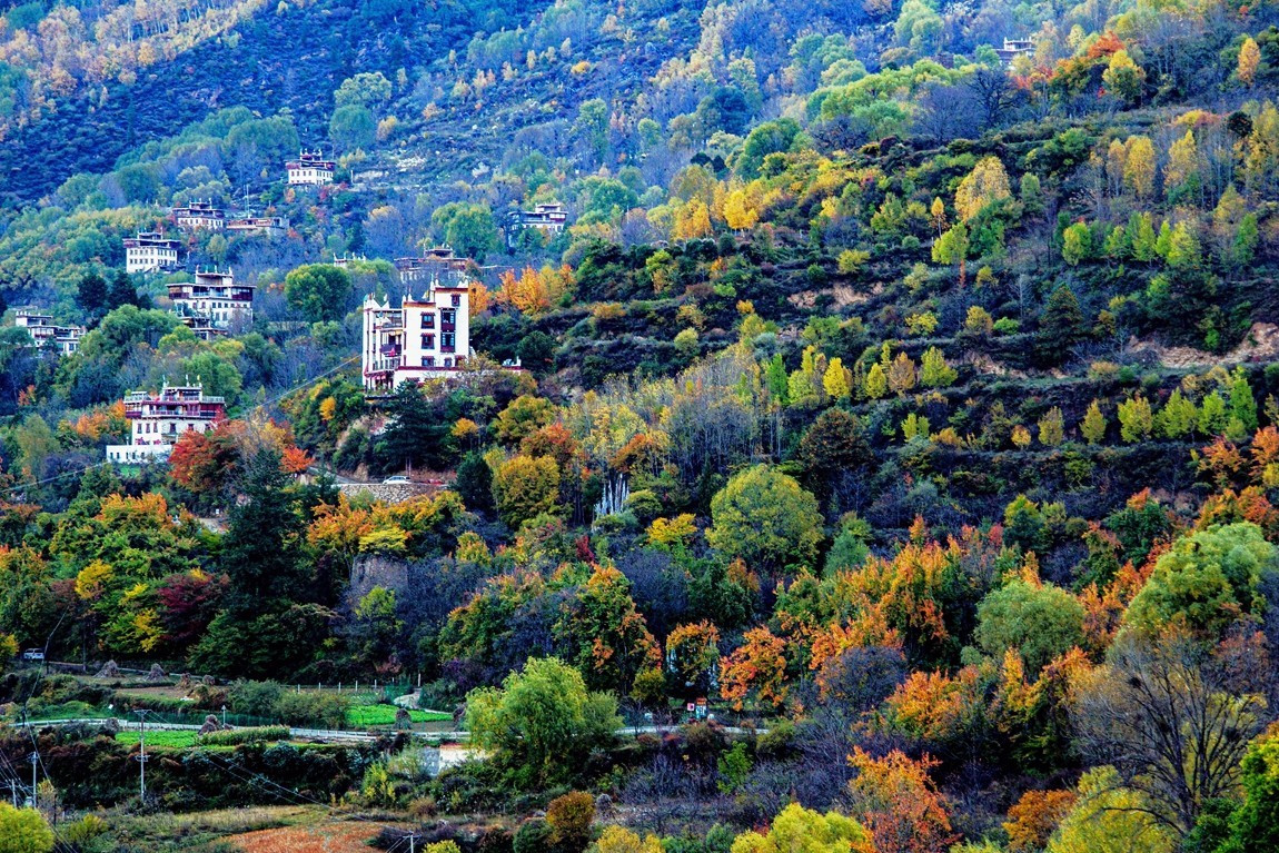 #遇见最美秋叶#川西--丹巴--藏区秋色【7】