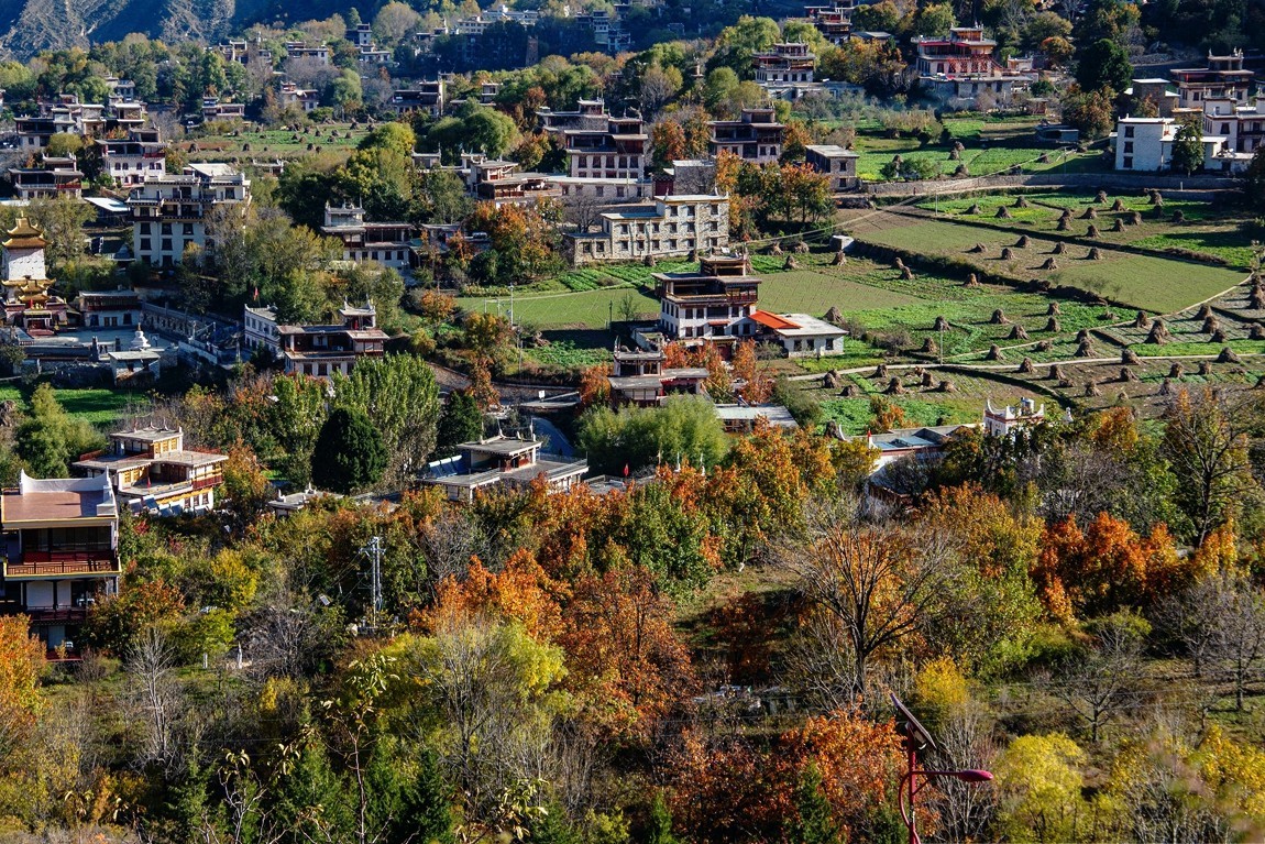 #遇见最美秋叶#川西--丹巴--藏区秋色【7】