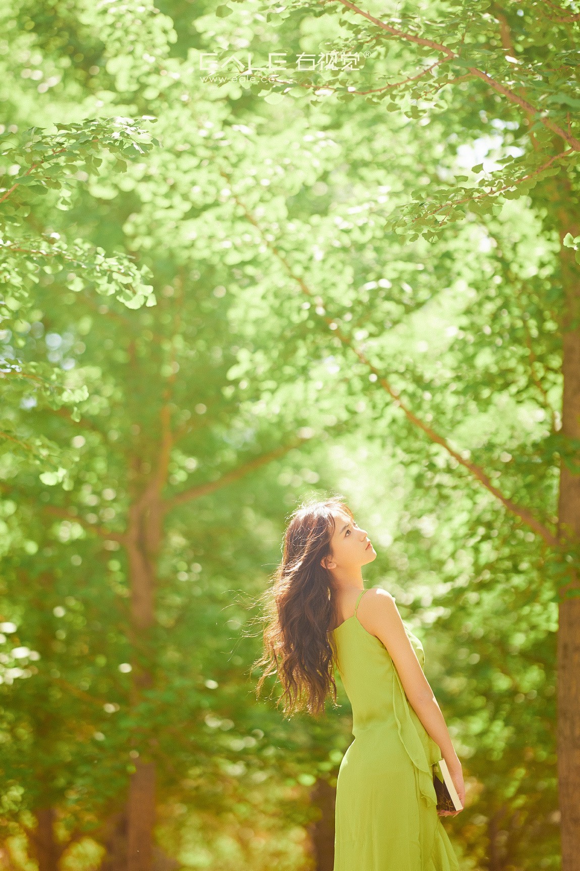 【右视觉摄影】带上阳光去旅行
