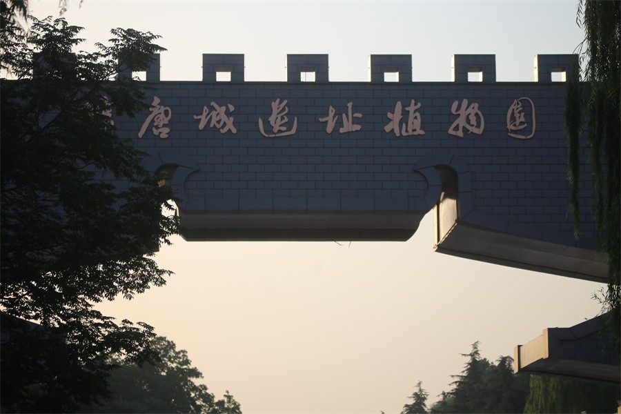 六月荷花美如画吸引网友入画来