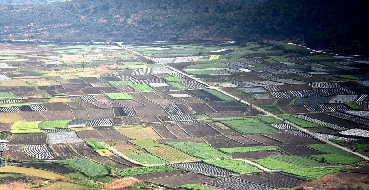 双廊古镇至丽江路途随拍