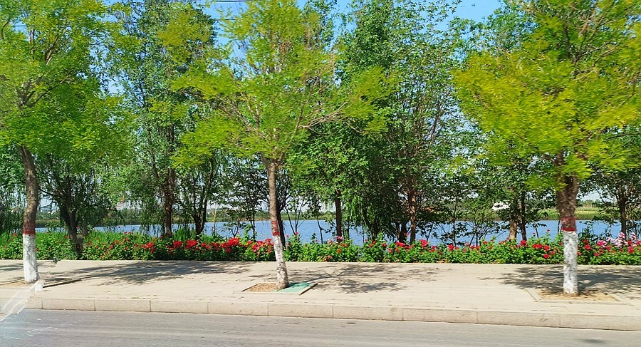 《不老松：纪实摄影》【大好河山系列报導】邯郸游摄！廣府古城 (16)离开古城打道囬府