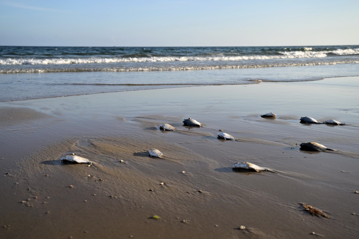三亚清水湾一游