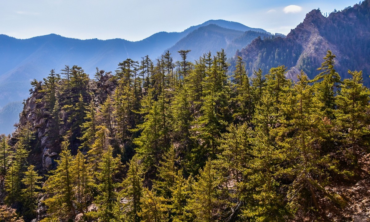 周末去爬贺兰山（上）