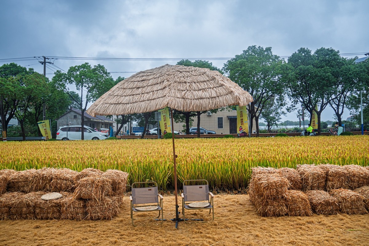 航头乡村国际音乐节