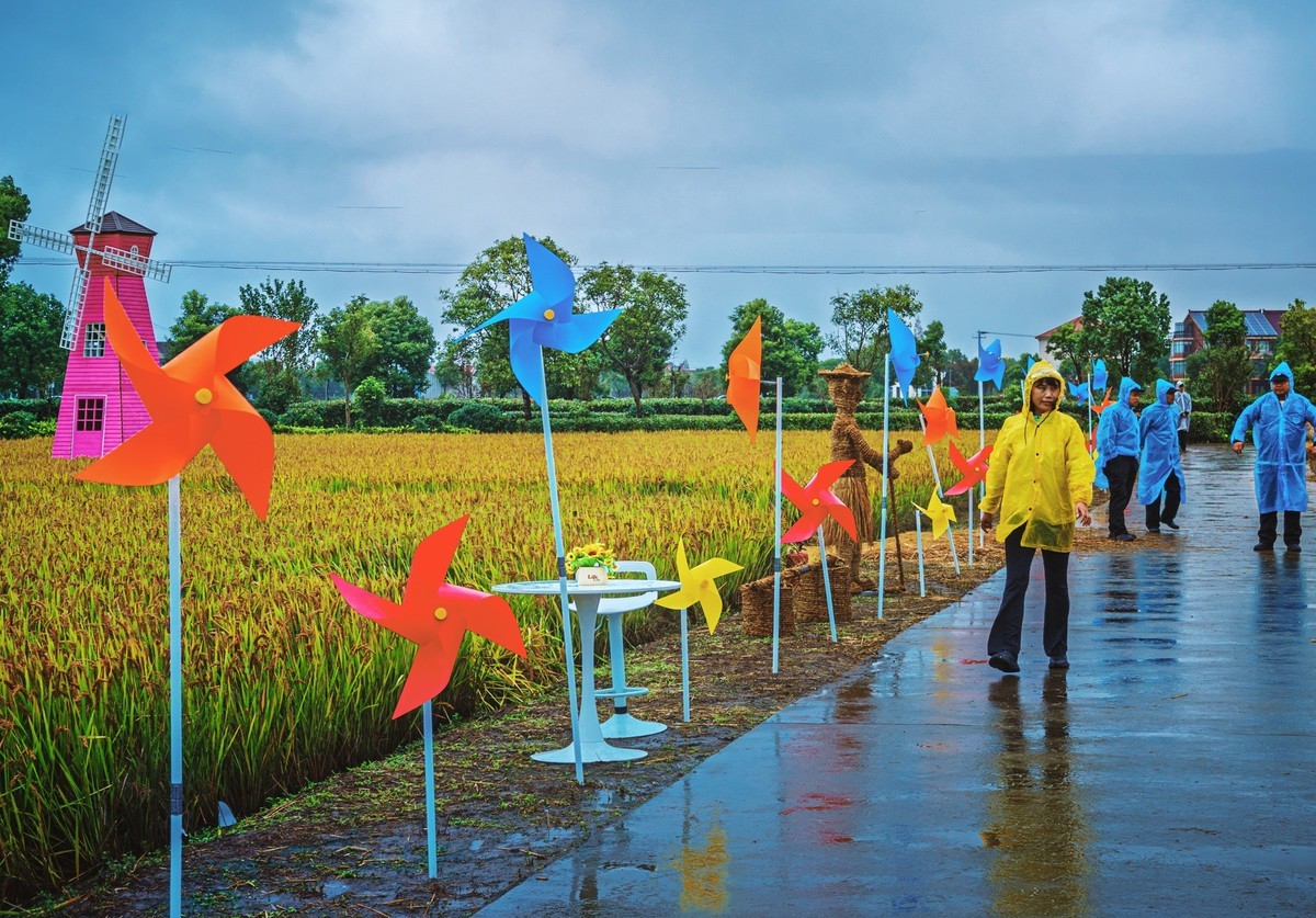 航头乡村国际音乐节