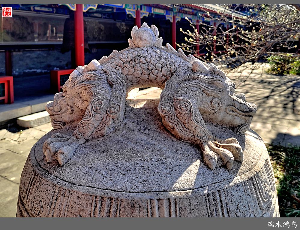 【京城寺庙集锦】39.大钟寺古钟博物馆巡礼(上)5.-中关村在线摄影论坛