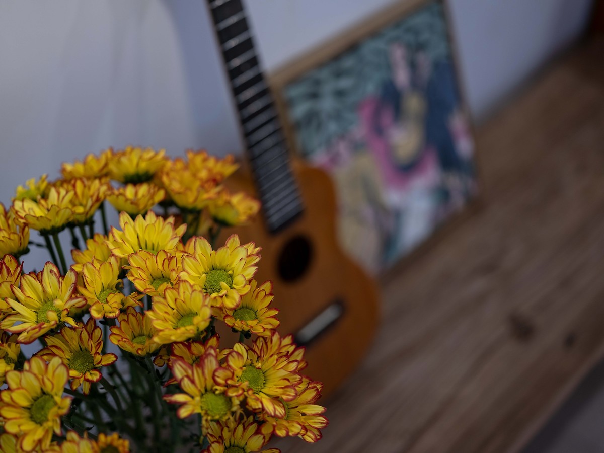 GFX50Sii+ GF 63 F2.8（ 试镜-由朝试到晚 ）