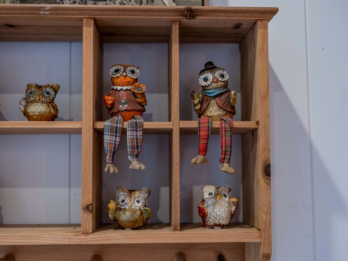 GFX50Sii+ GF 63 F2.8（ 试镜-由朝试到晚 ）