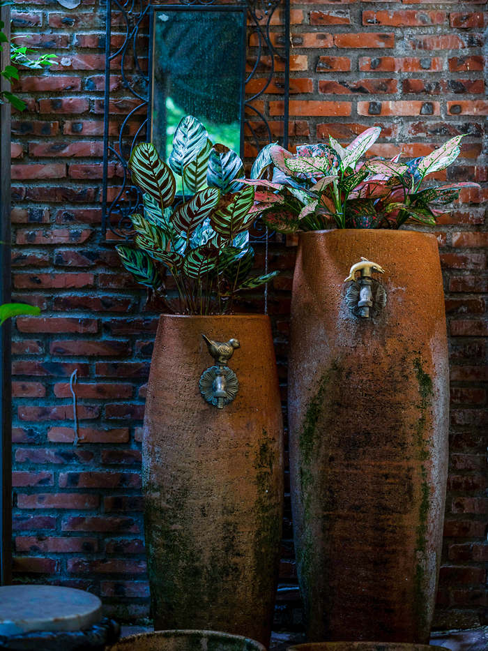 GFX50Sii+ GF 63 F2.8（ 试镜-由朝试到晚 ）