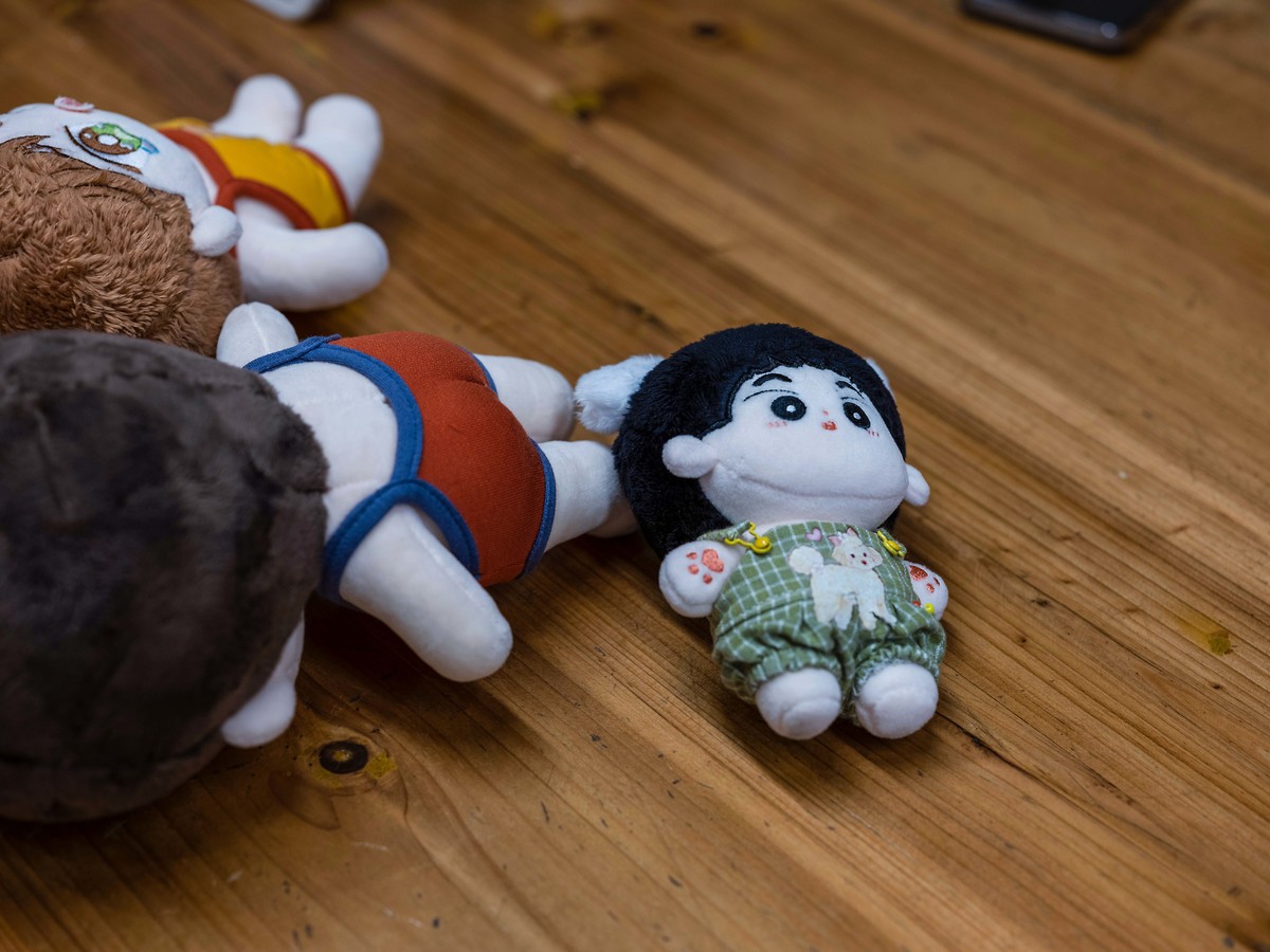 GFX50Sii+ GF 63 F2.8（ 试镜-由朝试到晚 ）