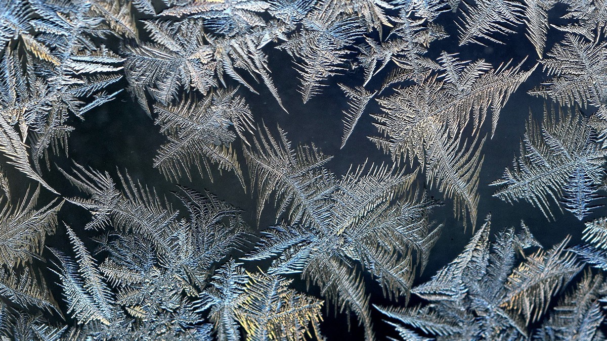 给各位摄友拜晚年啦！