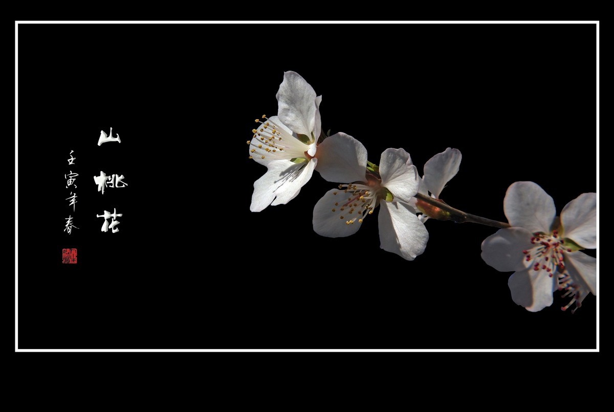 桃花浅深处，似匀深浅妆