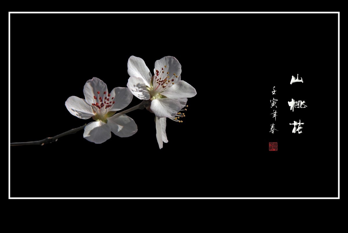 桃花浅深处，似匀深浅妆