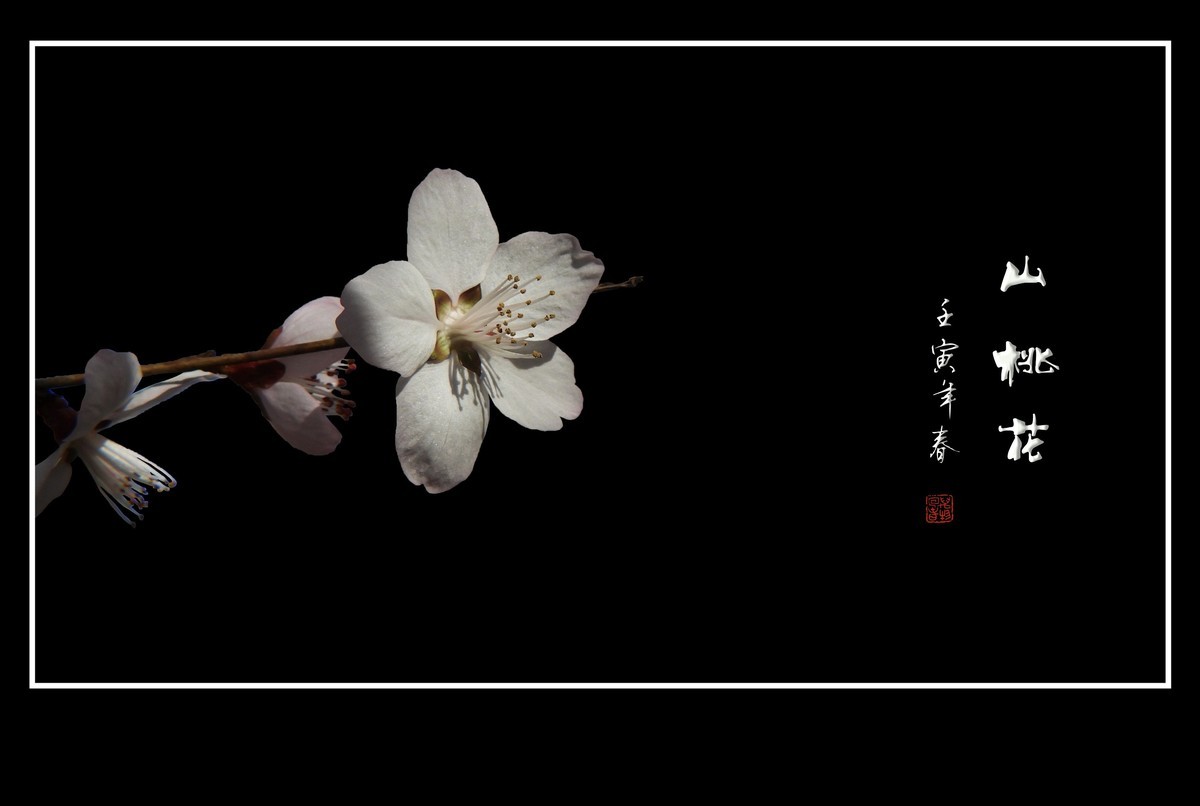 桃花浅深处，似匀深浅妆