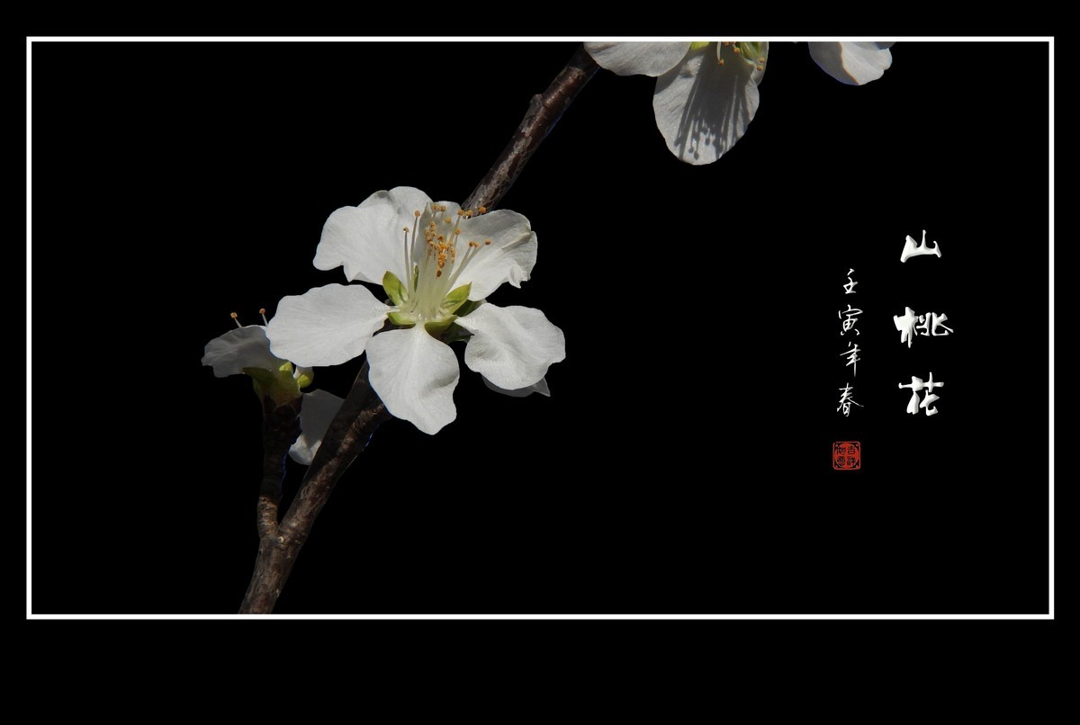 桃花浅深处，似匀深浅妆