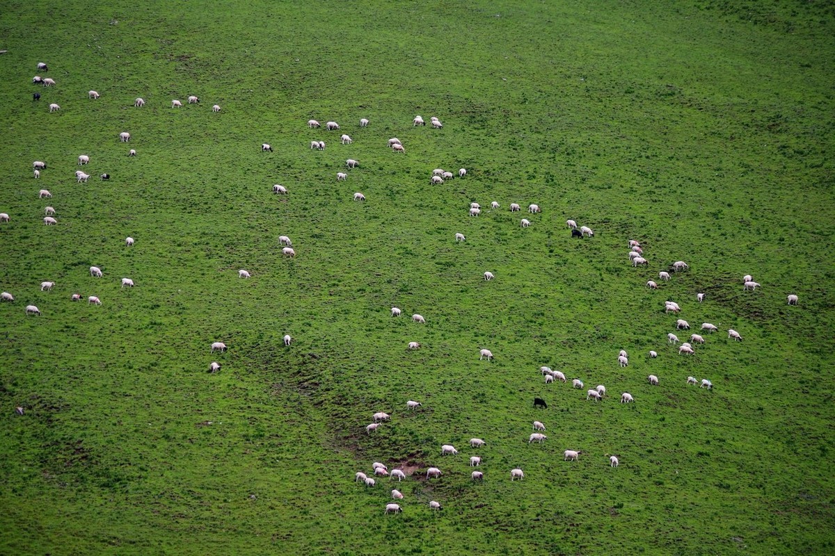 怀念宾得的色彩