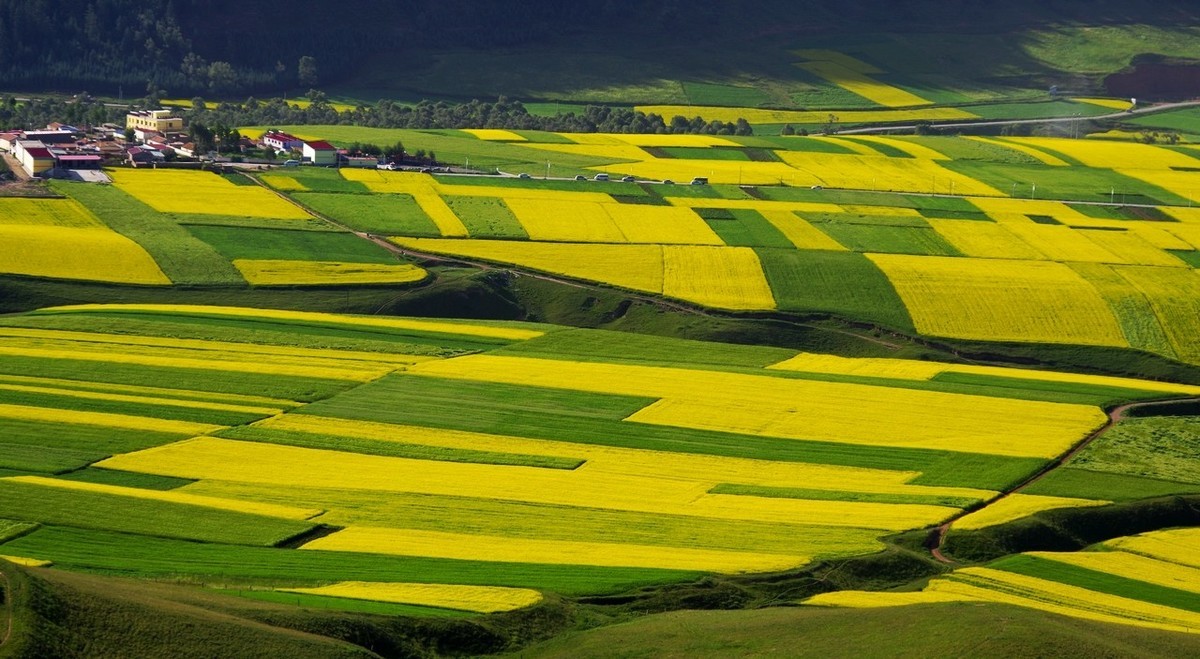 怀念宾得的色彩