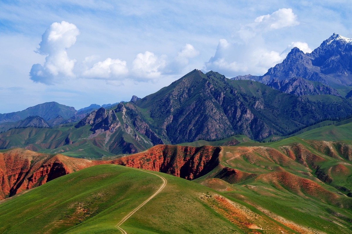 怀念宾得的色彩