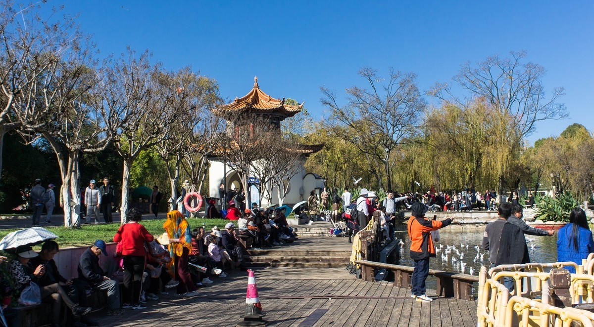 冬日的昆明大觀公園